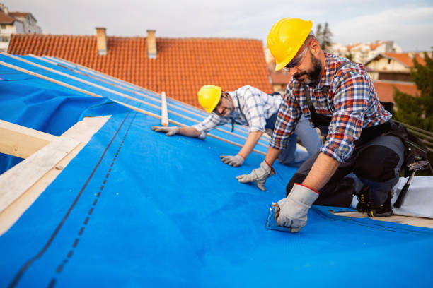 Best Roof Leak Repair  in Minneapolis, KS